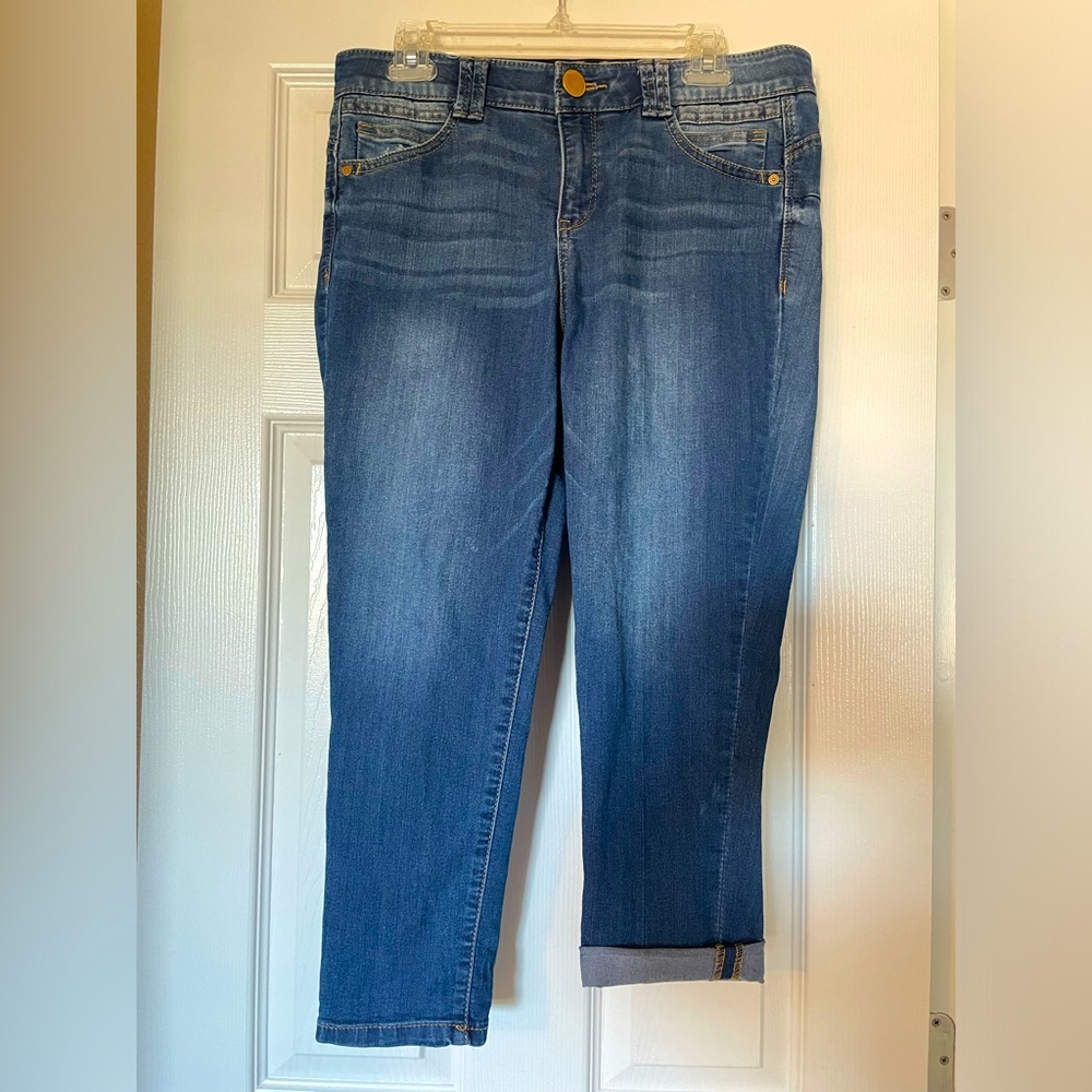 Democracy Slim Leg and Slightly Distressed Jeans